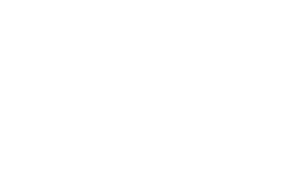 DSSS Site dull icon white