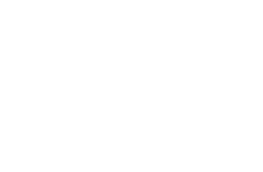 DSSS Site stain Icon white
