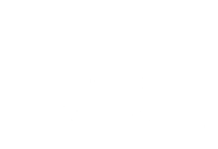 DSSS water Icon white